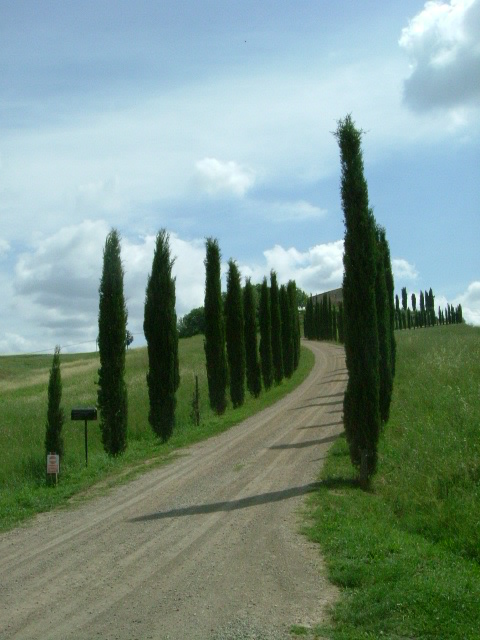 e0078071_204469.jpg
