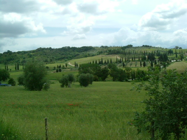 e0078071_2056562.jpg