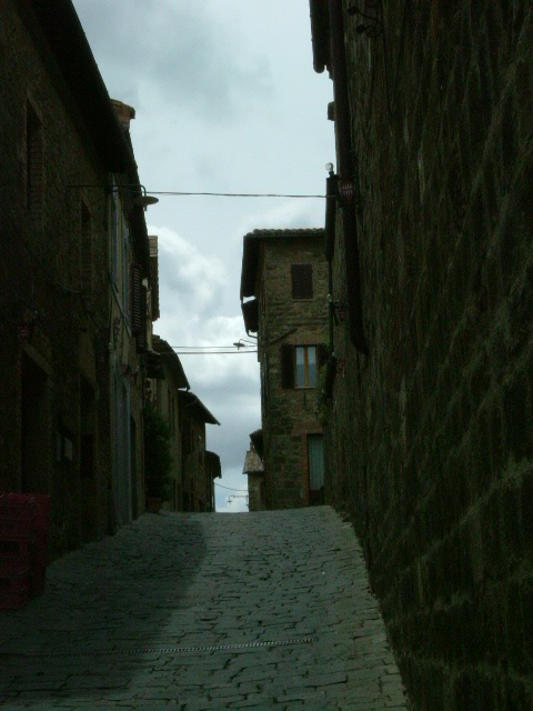 e0078071_2065730.jpg