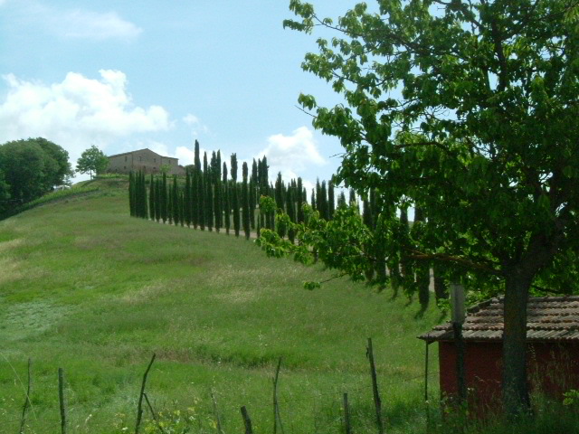e0078071_2075677.jpg
