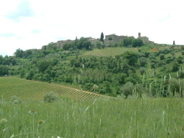 e0078071_2110459.jpg