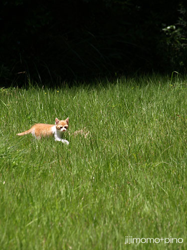 d0002472_0562529.jpg