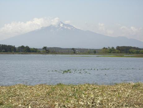 f0116278_191197.jpg