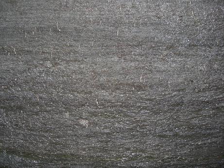 f0116278_19573397.jpg
