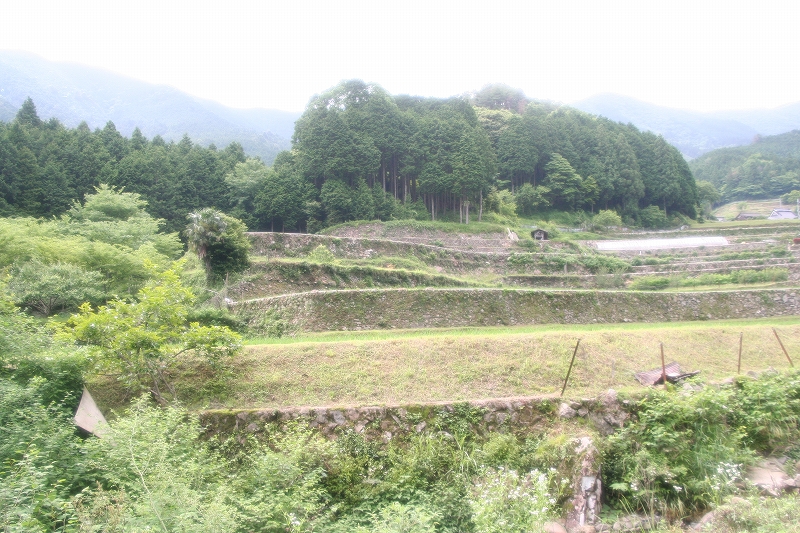 e0024081_19293211.jpg