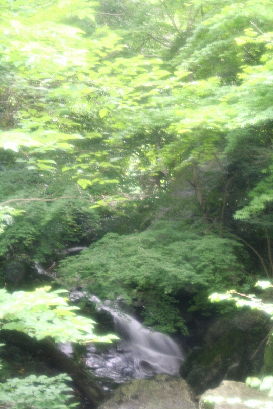 e0024081_19365966.jpg