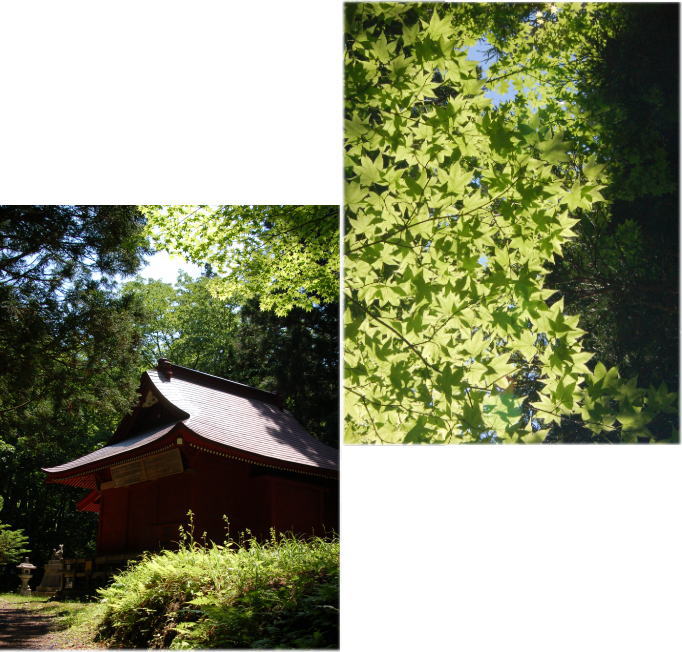 c0072785_2041232.jpg