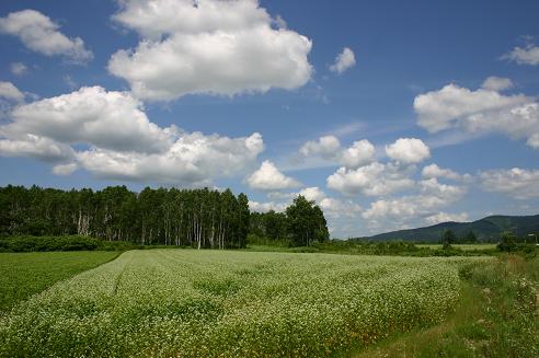 e0071185_18151777.jpg