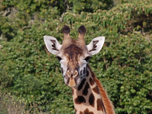 f0000593_23432379.jpg
