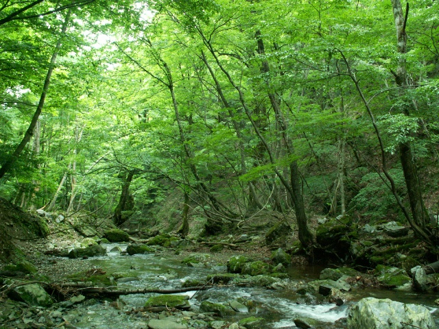 b0039898_1548595.jpg