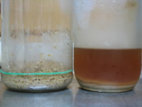 e0049598_1015155.jpg
