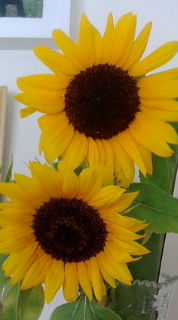 c0050400_1837798.jpg