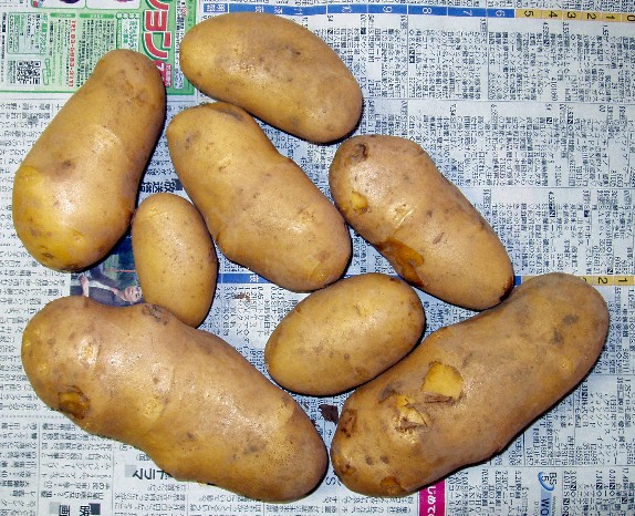 a0074202_2291685.jpg