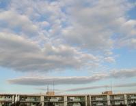 d0023704_23144272.jpg