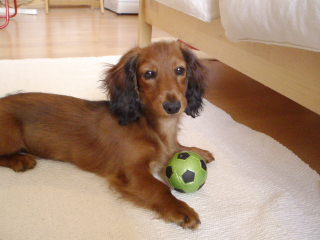 e0125607_055794.jpg