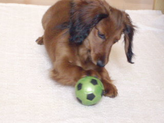e0125607_1015100.jpg