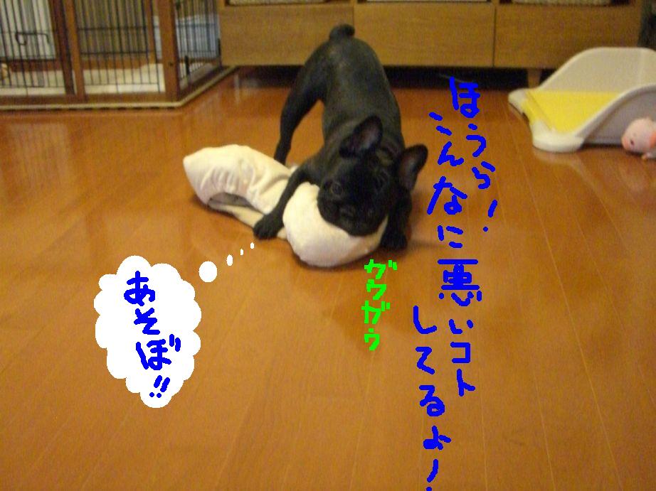 c0113109_037359.jpg