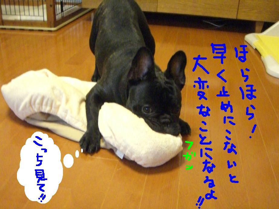 c0113109_037740.jpg