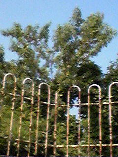 f0049813_12355235.jpg
