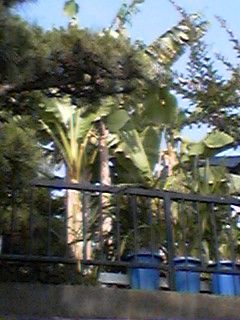 f0049813_12355381.jpg