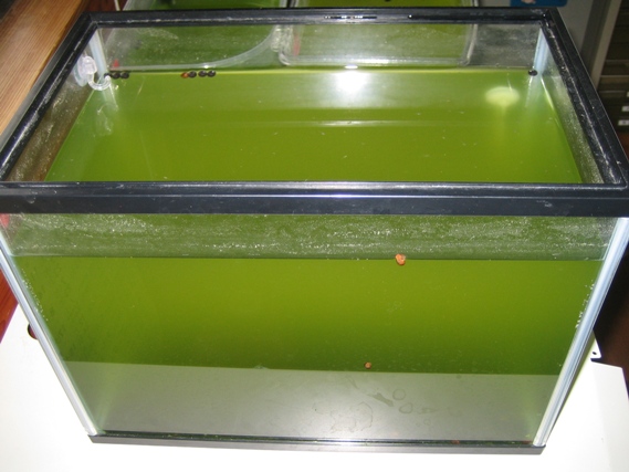 f0137616_20125379.jpg