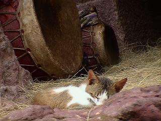 e0055023_0261250.jpg
