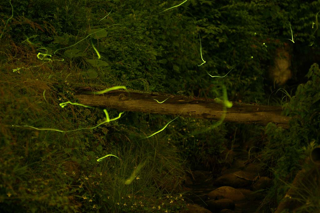 b0062024_23175876.jpg