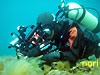 b0044726_10154829.jpg