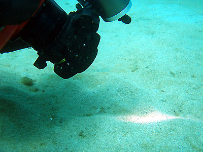 b0044726_20332728.jpg