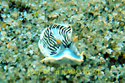 b0044726_203714100.jpg