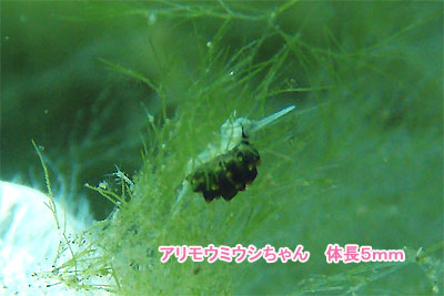 b0044726_8574846.jpg