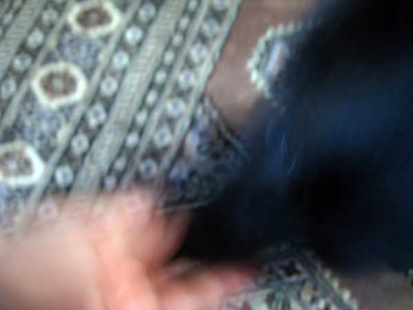 b0066826_11504491.jpg
