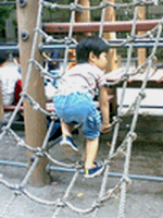 b0080033_2304913.gif