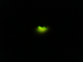 f0131934_22255296.jpg