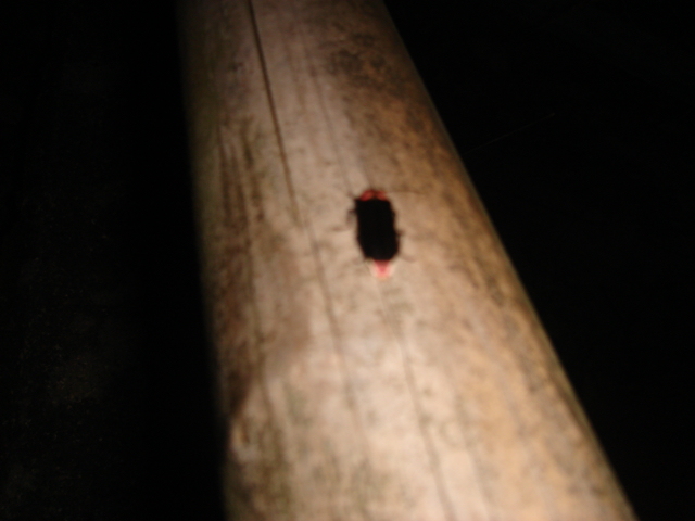 f0131934_2271859.jpg