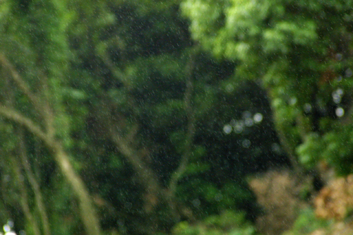 a0097735_21454381.jpg