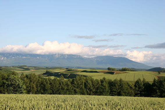 d0069235_0494155.jpg