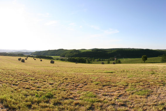 d0069235_0502635.jpg