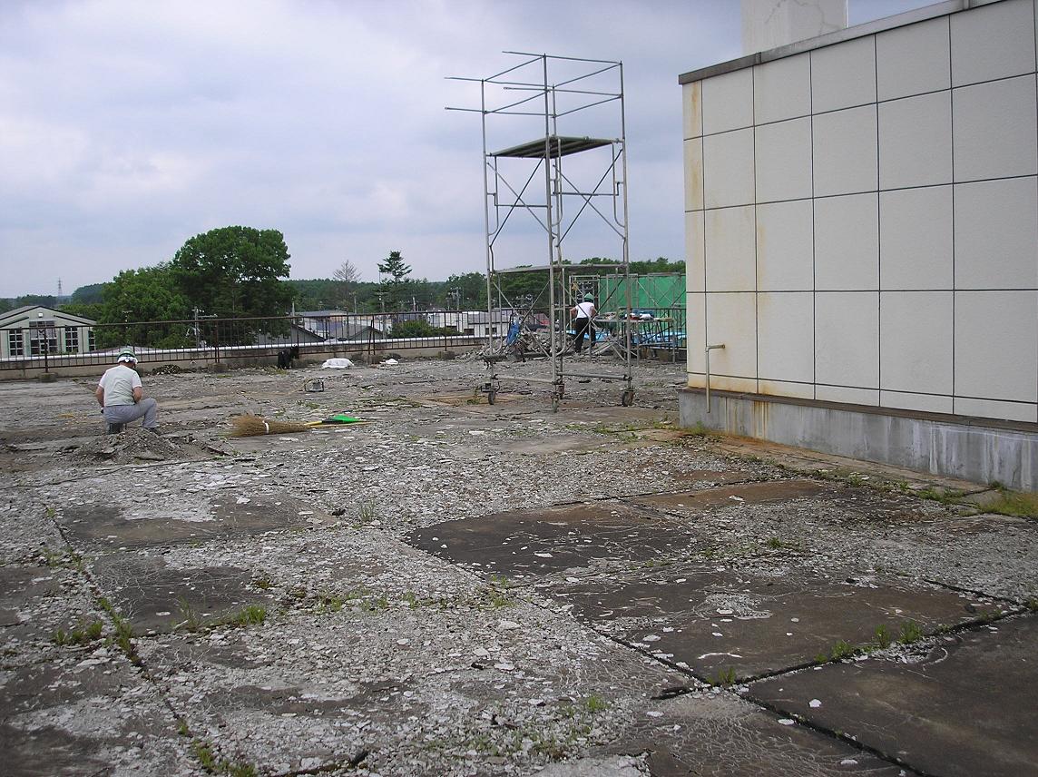 f0089537_20453445.jpg