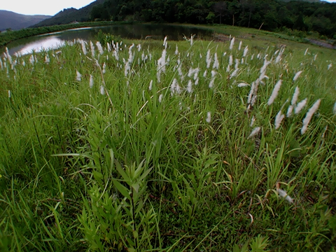 b0025738_20491416.jpg