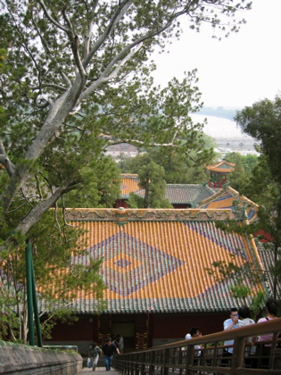 d0085939_22425013.jpg