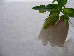 f0142141_2391799.jpg