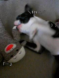 c0110945_1484896.jpg