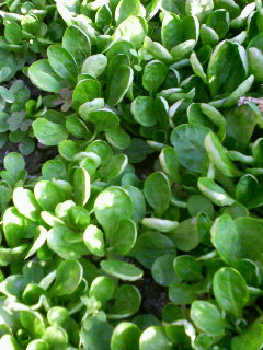 f0088647_12164643.jpg