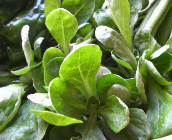 f0088647_12183399.jpg