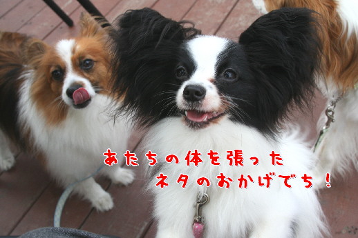 d0013149_0221349.jpg