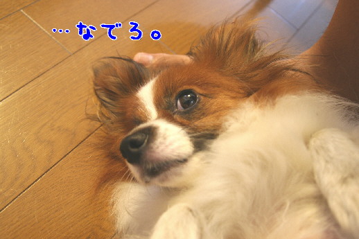 d0013149_03491.jpg