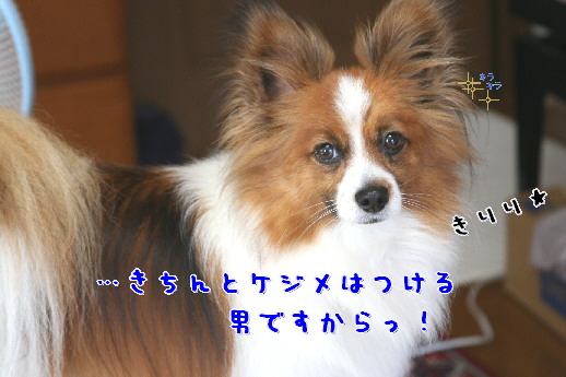 d0013149_0502633.jpg