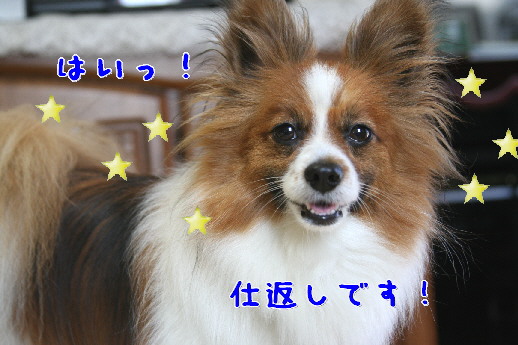 d0013149_132736.jpg