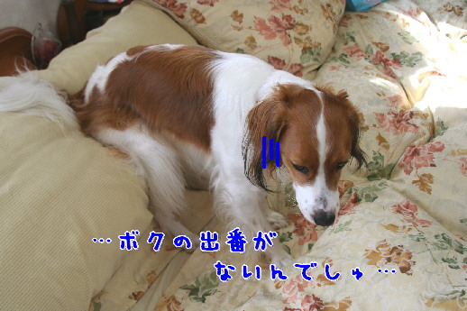 d0013149_192281.jpg
